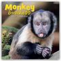 „Monkey Business 2027 Calendar“. Ein kleiner Affe zeigt die Zunge und sitzt auf einem Ast, umgeben von Blättern.