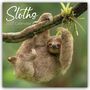 "Sloths 2027 Calendar". Ein Faultier hängt entspannt an einem Ast, umgeben von grüner Vegetation.