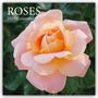 Texte: „ROSES 2027 Calendar“. Großaufnahme einer rosafarbenen Rose mit weichen, üppigen Blütenblättern.