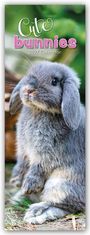 Text: "Cute bunnies 2027 Calendar". Ein flauschiges, graues Kaninchen sitzt aufmerksam auf dem Boden.