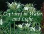Sarah Wood: Captured in Water and Light, Buch