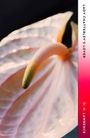 D H Lawrence: Lady Chatterley's Lover, Buch
