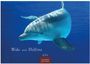 : Wale und Delfine 2025 L 35x50cm, KAL