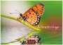 : Schmetterlinge 2025 L 35x50cm, KAL