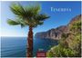 Teneriffa, 2027, Casares Edition. Palmenbaum am Meer, steile Felsküste, blauer Himmel, klare Sicht auf den Ozean.