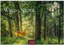 Text: "Wald und Natur 2027" und "CASARES EDITION". Ein Hirsch steht im grünen Wald, beleuchtet von Sonnenlicht.