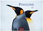 Text: "Pinguine 2027", "CASARES EDITION". Zwei Kaiserpinguine nebeneinander, einer im Vordergrund.