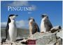 Text: "PINGUINE 2027" und "CASARES EDITION". Drei Pinguine auf Felsen unter blauem Himmel.