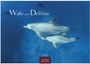 „Wale und Delfine" oben. „2027" mittig unten. Zwei Delfine schwimmen im blauen Wasser. Casares Edition Logo.