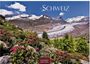 "Schweiz. 2023. Casares Edition." Ein Gebirgspanorama mit Gletscher, blühenden Alpenrosen und grünem Wald.