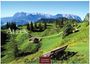 Alpen 2027, Casares Edition. Eine grüne Landschaft mit Hügeln und Bäumen, Berge im Hintergrund, eine Holzbank vorne.