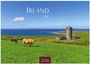 Text: „IRLAND 2027“. Szene: Grüne Wiese, Küstenlandschaft, Burgturm, zwei Kühe. Logo: „CASARES EDITION“.