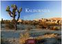 "Kalifornien", "2027", "CASARES EDITION". Eine Wüstenlandschaft mit Joshua-Bäumen unter klarem, blauem Himmel.