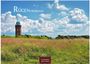RÜGEN/Hiddensee. 2024. CASAARES EDITION. Ein Backsteinturm auf einer blühenden Wiese unter blauem Himmel mit Wolken.