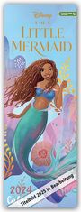 : Disney - The Little Mermaid - Die kleine Meerjungfrau 2025 - Slimline-Kalender, KAL