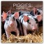 Gifted Stationery Co. Ltd: Piggies - Ferkel Schweine 2025 - 16-Monatskalender, KAL