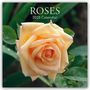 Gifted Stationery Co. Ltd: Roses - Rosen 2025 - 16-Monatskalender, KAL