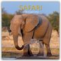 The Gifted Stationery Co. Ltd: Safari 2025 - 16-Monatskalender, KAL