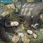 Tree Flame: Ivory Cats - Lesley Anne Ivorys Katzen 2026 - Original Flame Tree Publishing-Kalender [Kalender], KAL