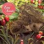 Tree Flame: Patricia MacCarthy's Beautiful Babies - Wunderschöne Tierbabys 2026 - Original Flame Tree Publishing-Kalender [Kalender], KAL