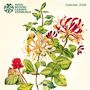 Tree Flame: Royal Botanic Garden Edinburgh - Pflanzen 2026 - Original Flame Tree Publishing-Kalender [Kalender], KAL