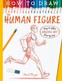 Mark Bergin: How To Draw The Human Figure, Buch