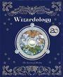 "Wizardology", darunter "The Secrets of Merlin." Oben und unten stilisierte Illustrationen mit Eule und Tiermotiven.