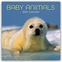 Gifted Stationery Co. Ltd: Baby Animals - Tierkinder 2026 - 16-Monatskalender, KAL