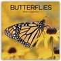 Gifted Stationery Co. Ltd: Butterflies - Schmetterlinge 2026 - 16-Monatskalender, KAL