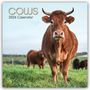 Gifted Stationery Co. Ltd: Cows - Kühe 2026 - 16-Monatskalender, KAL