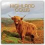 Gifted Stationery Co. Ltd: Highland Cows - Hochland-Kühe - Hochlandrinder 2026 - 16-Monatskalender, KAL