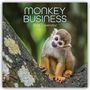 The Gifted: Monkey Business 2026 - 16-Monatskalender, KAL