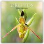 Gifted Stationery Co. Ltd: Orchids - Orchideen 2026 - 16-Monatskalender, KAL