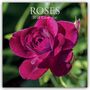 Gifted Stationery Co. Ltd: Roses - Rosen 2026 - 16-Monatskalender, KAL