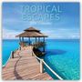 Gifted Stationery Co. Ltd: Tropical Escapes - Urlaub in den Tropen 2026 - 16-Monatskalender, KAL