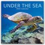 Gifted Stationery Co. Ltd: Under the Sea - Tropische Fische 2026 - 16-Monatskalender, KAL