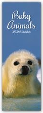 Gifted Stationery Co. Ltd: Baby Animals - Tierkinder - Slimline-Kalender 2026, KAL