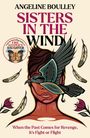 Angeline Boulley: Sisters in the Wind, Buch