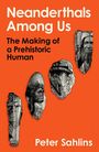 Text: "Neanderthals Among Us: The Making of a Prehistoric Human" von Peter Sahlins. Illustrationen von Gesichtern auf orangenem Hintergrund.