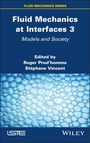 : Fluid Mechanics at Interfaces 3, Buch