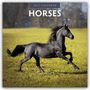 Text: "2027 Calendar", "Horses". Ein schwarzes Pferd galoppiert über eine grüne Wiese, im Hintergrund Bäume.