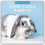 "2027 CALENDAR: LONG EARED RABBITS" über einem Foto eines Kaninchens mit langen, schwarz-weißen Ohren vor blauem Hintergrund.