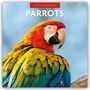 Text "2027 Calendar" und "Parrots". Ein bunter Papagei mit roten, gelben und blauen Federn auf einem Ast.