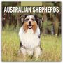 „2027 Calendar“, „Australian Shepherds“. Ein fröhlicher Australian Shepherd sitzt auf einer Wiese vor einem Wald.