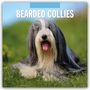 Text oben: "2027 Calendar", "Bearded Collies". Ein Bearded Collie liegt auf einer grünen Wiese.