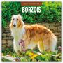 Text: "2027 Calendar BORZOIS". Ein großer, eleganter Hund steht in einem blühenden Garten vor einer Steinmauer.