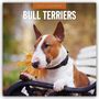 Text: "2027 CALENDAR BULL TERRIERS". Ein Bull Terrier auf einer Bank, hält ein Herbstblatt im Maul.