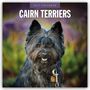 Text: "2027 Calendar" und "Cairn Terriers". Ein schwarzer Hund mit wuscheligem Fell, lächelt vor unscharfem Hintergrund.