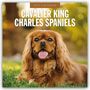 Text: "2027 Calendar Cavalier King Charles Spaniels." Ein fröhlicher Hund, liegend im Gras, zeigt seine Zunge.