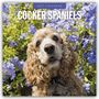 Text: "2027 Calendar Cocker Spaniels". Ein Cocker Spaniel sitzt in einem Feld aus lila Blumen und schaut aufmerksam.